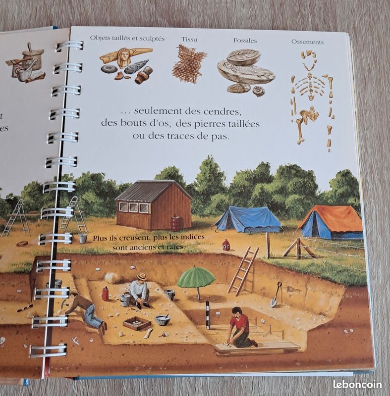 La préhistoire (image 3)
