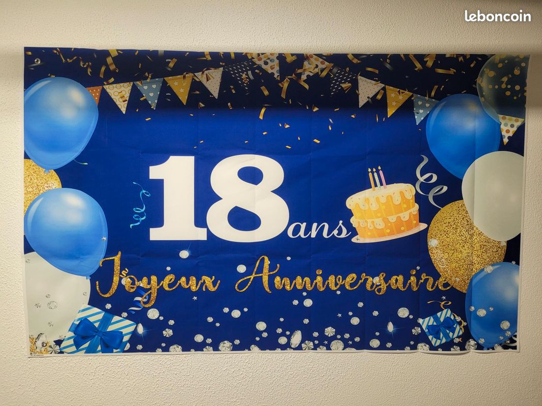 Lot decoration 18 ans tbe (image 1)