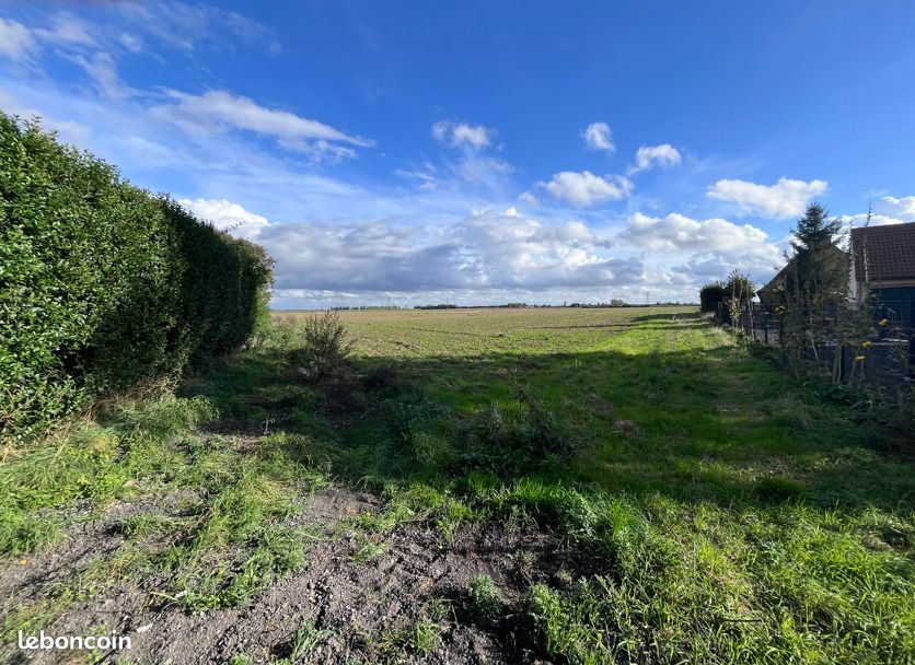 Terrain 585 m² Provin · 131 500 €
