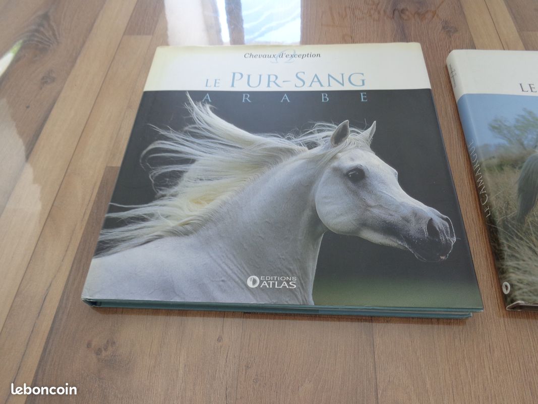 2 Livres : les chevaux d'exception (image 2)