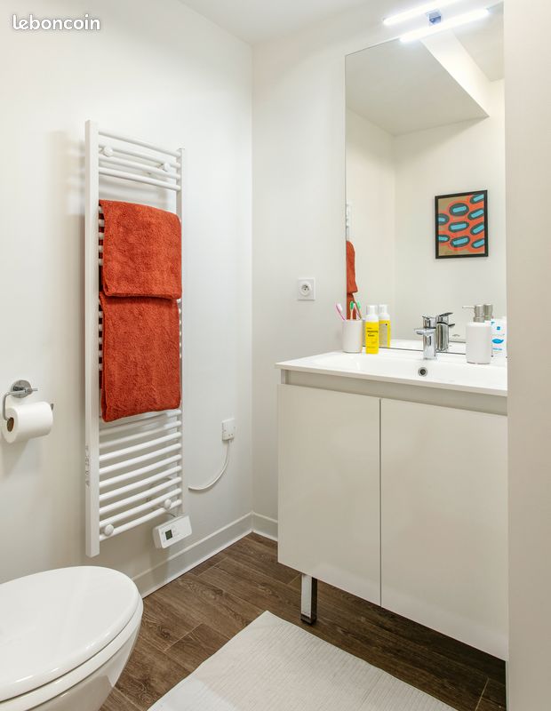 Studios a louer - Limoges 87000 Vanteaux-CHU-Mas Bouyol-Puy Rodas (image principale 1)