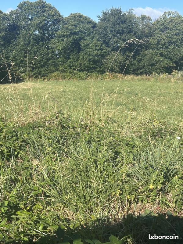 Terrain 1 200 m² Ergue Gaberic · à Ergué-Gabéric · 104 220 €
