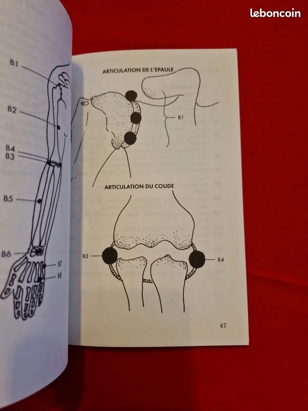 Les points de Knap - soulagement des douleurs stimulation vitale (image 7)