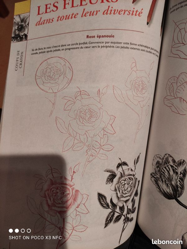 Livre Initiation au dessin (image 3)