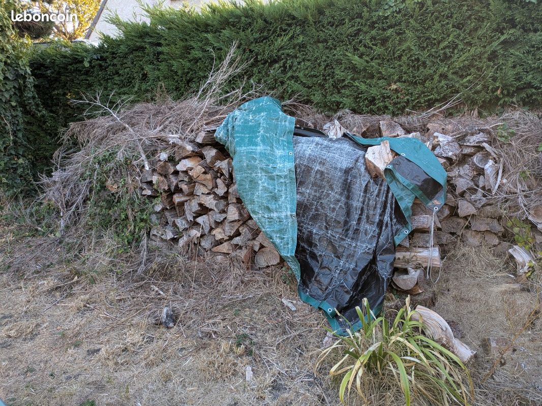 Bois de chauffage pin 50 Les 2 stères (image 5)