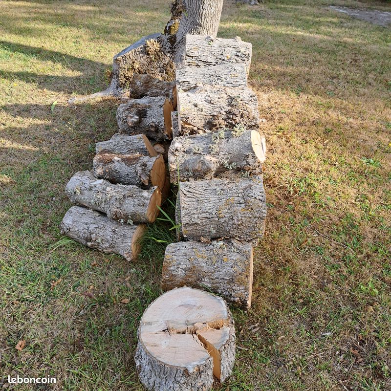 Bois de chauffage frêne (image 1)