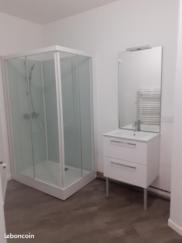 Appartement 2 pièces 53 m² - Brive-la-Gaillarde 19100 (image principale 4)