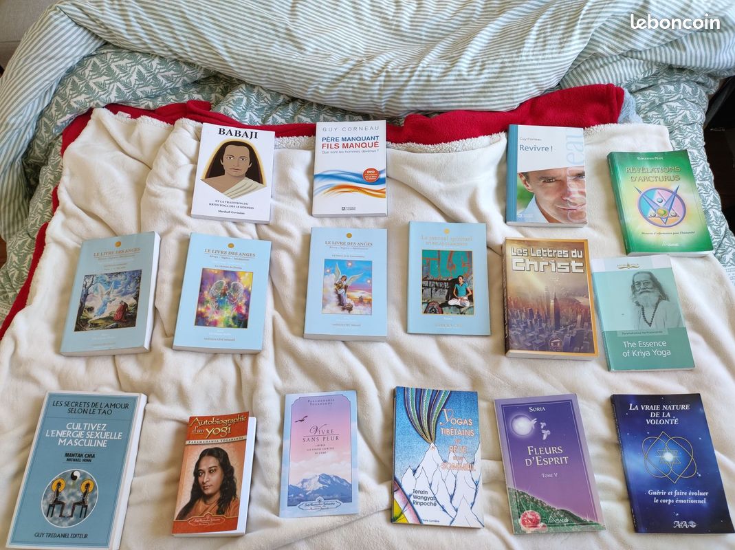 Livres spiritualité (image 2)