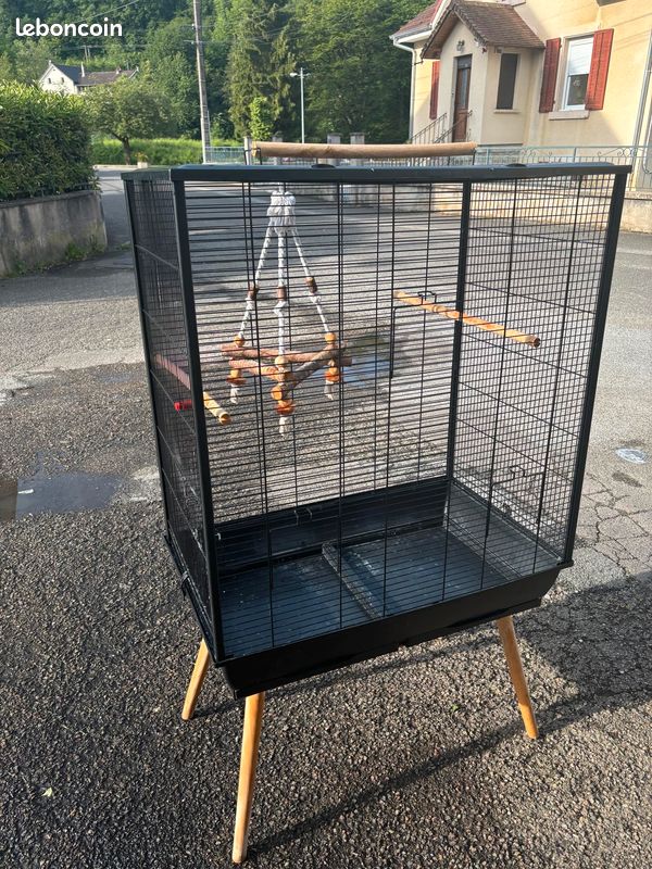 Cage à oiseaux (image 1)