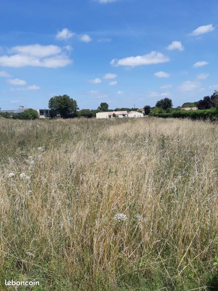 Maison 4 pièces 95 m² - Villedoux 17230 (image 3)