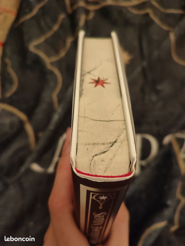 Seven faceless saints fairyloot edition (image 10)