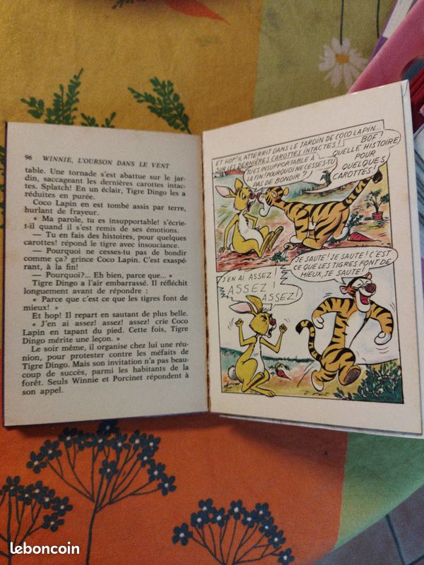 Winnie l'ourson dans le vent (christorine) (image 4)