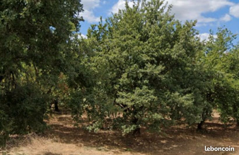 Terrain 651 m² Marges · à Margès · 89 500 €