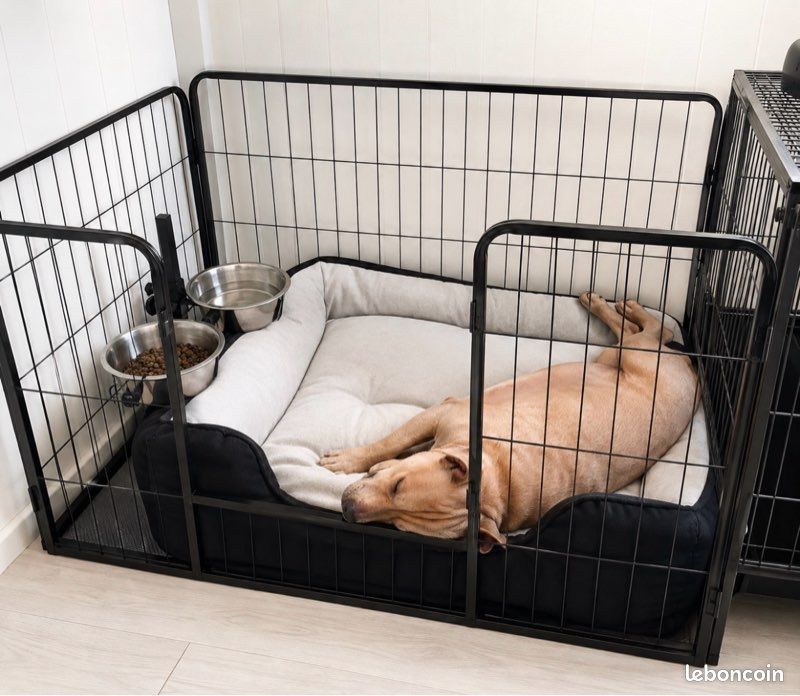 Cage pour chien (image 1)