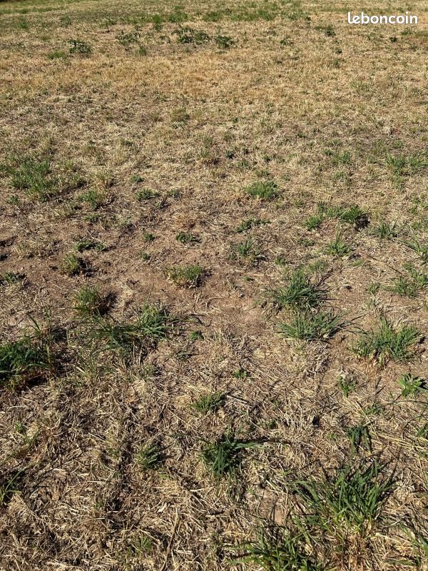 Terrain 1 400 m² Boissay · 50 000 €
