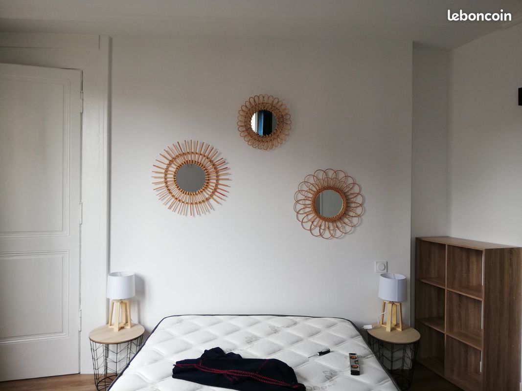 T1 secteur Mairie/Fac de Droit - Limoges 87000 Centre-Hôtel de Ville Emailleurs (image principale 0)