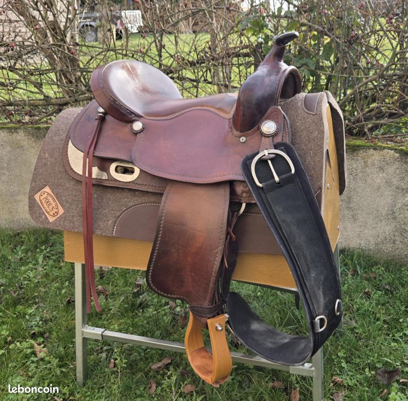 HILASON Western Tack Horse - Estribos en ángulo de aluminio grabados