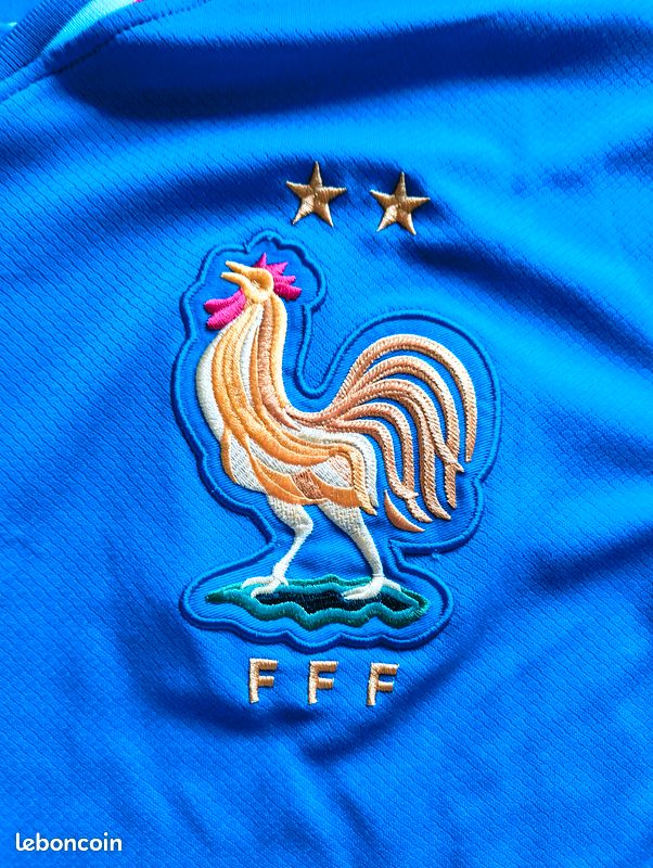 Maillot Equipe De France Football 2025 Domicile – Nike, Taille L, Neuf
