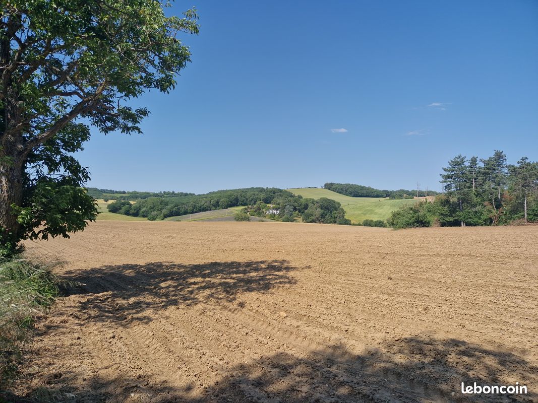 À vendre · Propriété agricole de 96 hectares · Secteur Lavaur (81) · 1 120 419 €