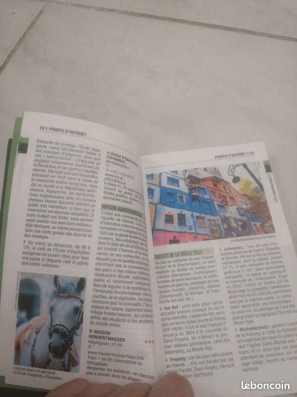 Guide vienne le petit futé (image 3)