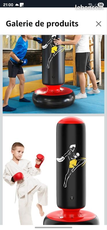 Sac Boxe Gonflable 66 Pouces Sport Plein air