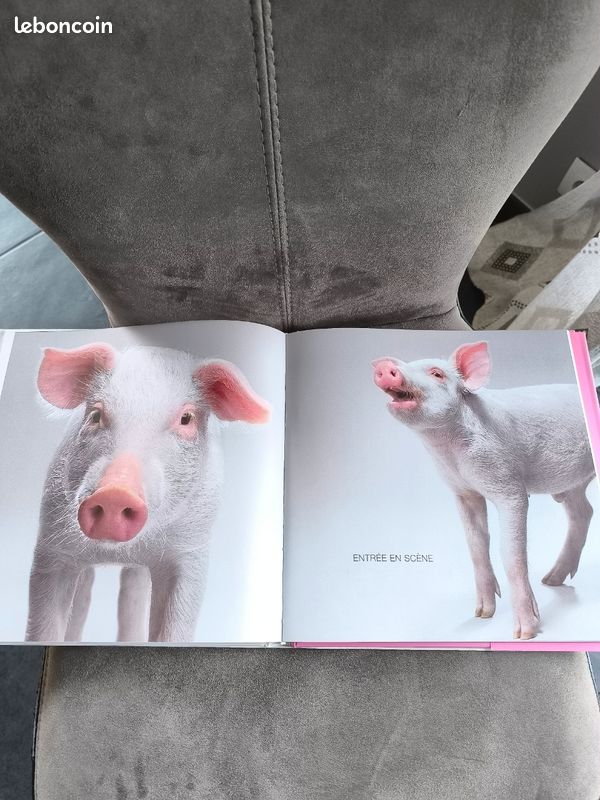 Livre cochon (image 4)
