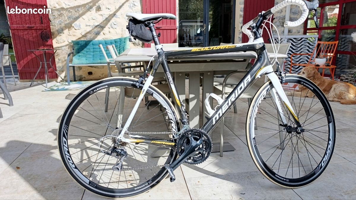 Merida Scultura Evo 904 904 Scultura Comp 905 Discount Merida