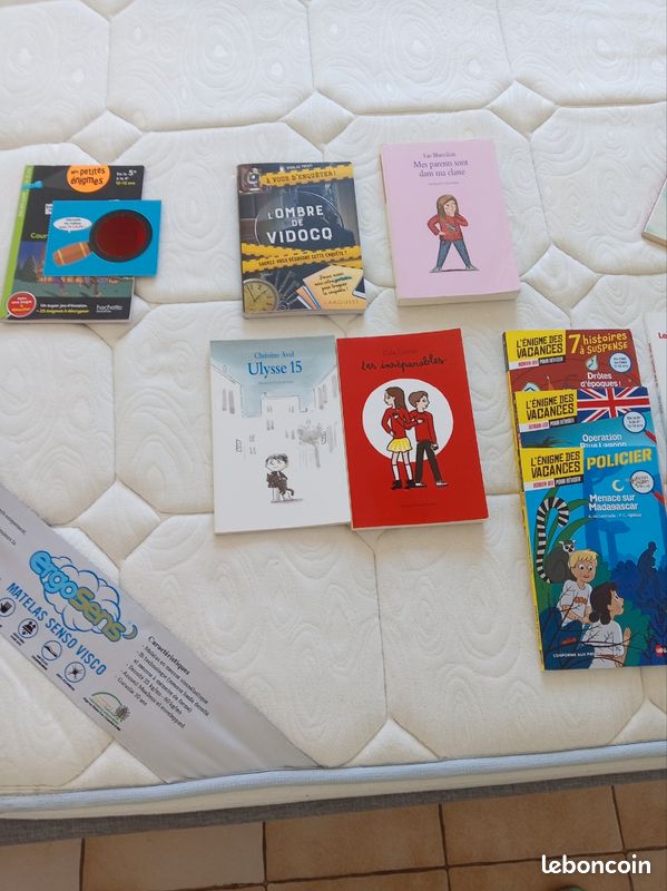 Livres jeunesse (image 3)