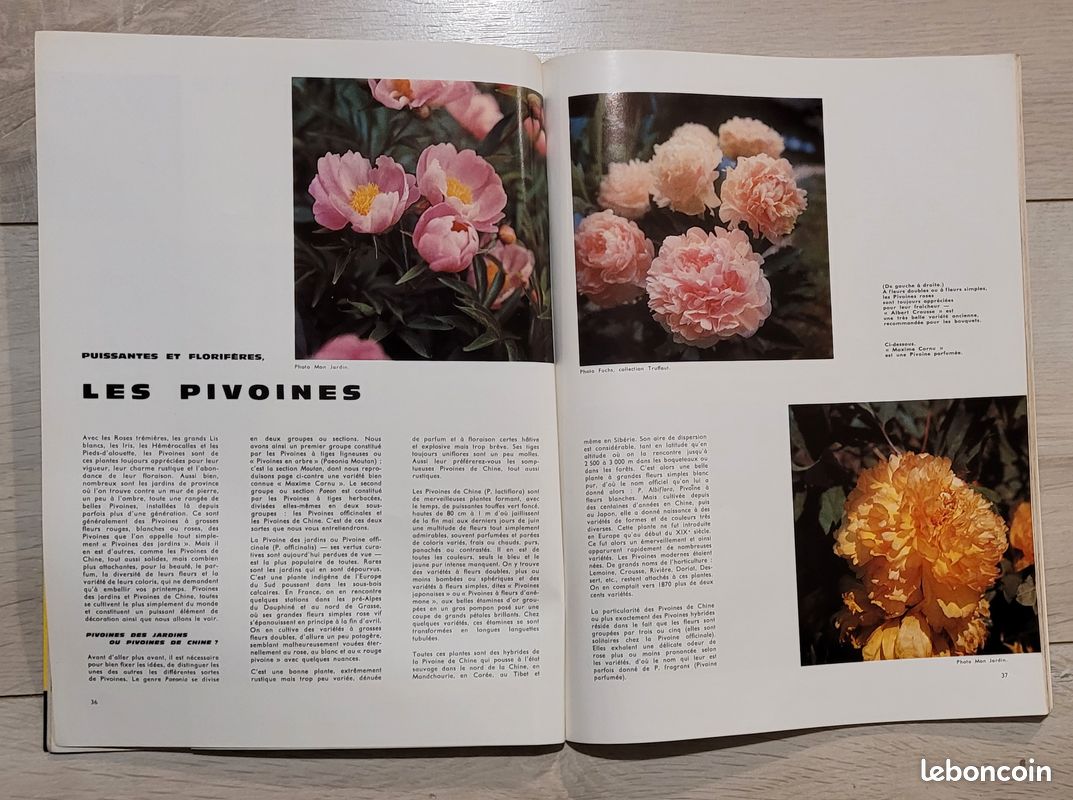 12 mon jardin et ma maison 1964 (image 5)