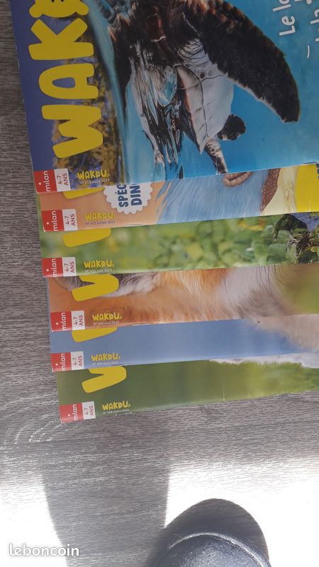 Lot de livres WAKOU (image 3)
