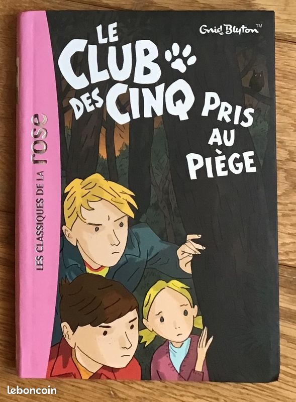 6 livres de la bibliothèque rose Très Bon Etat (image 3)