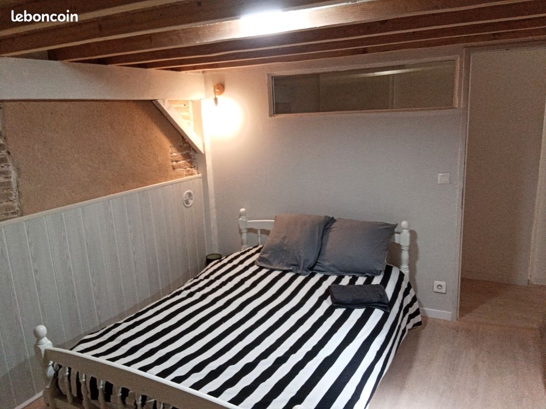 Appartement style Loft climatisé, 4 à 6 p. Tarn,Albi,Gaillac,Cordes (image 7)