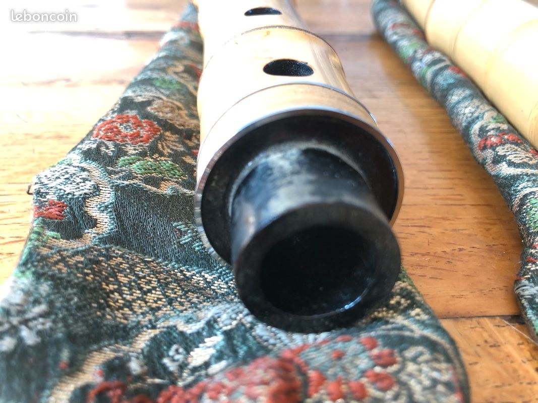 Flûte Japonaise Shakuhachi 8 Trous En Bambou - Instrument Débutant Professionnel