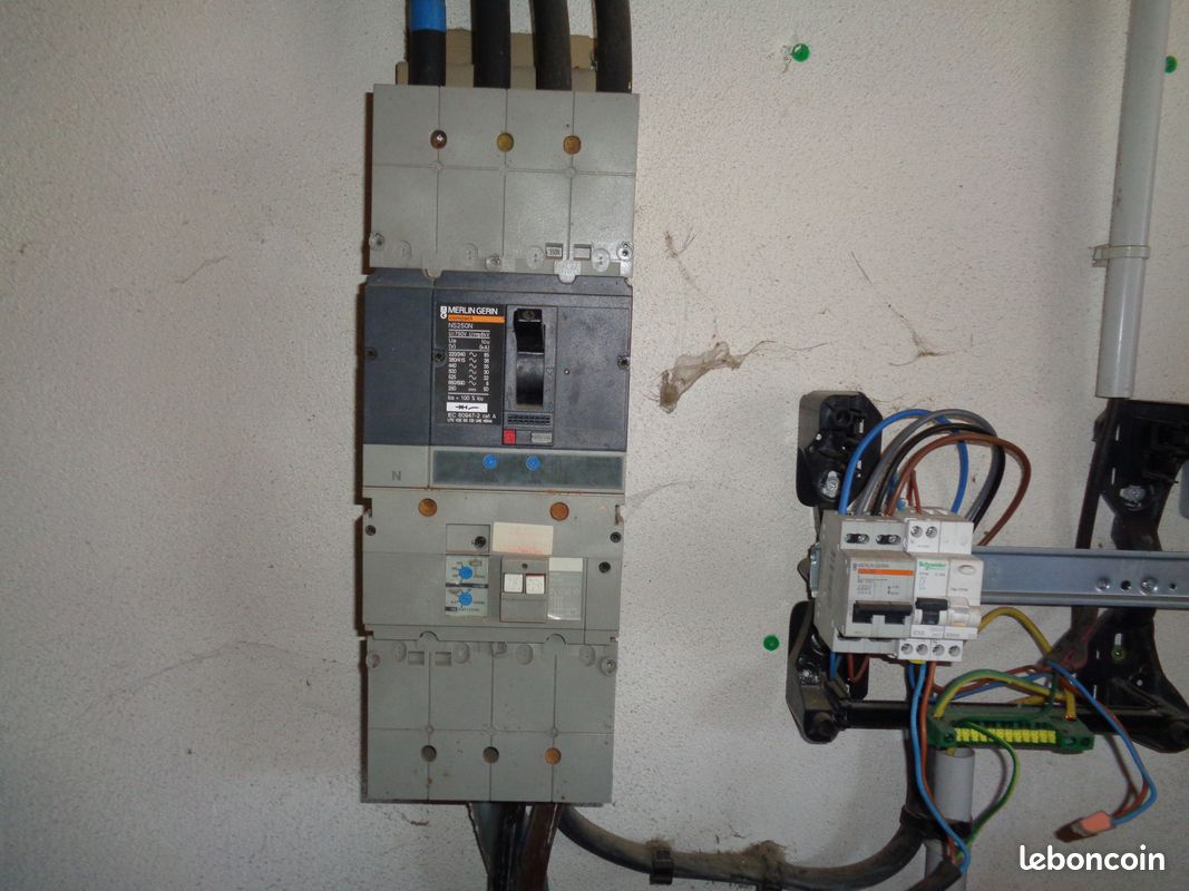 Local 900 m² Aimargues (image 11)