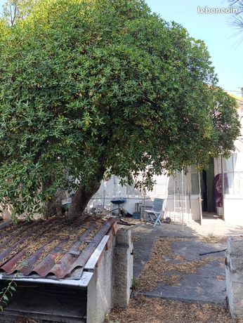 MARSEILLE 11e – LA POMME – MAISON INDIVIDUELLE AVEC JARDIN ET FORT POTENTIEL — 7