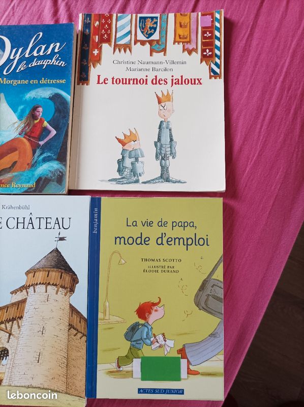 Divers livres (4) (image 3)