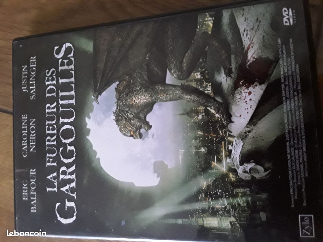 DVD la fureur des gargouilles (image 1)