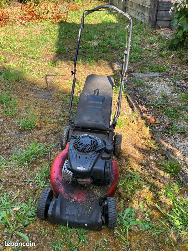 Tondeuse à gazon Briggs & Stratton (image 2)
