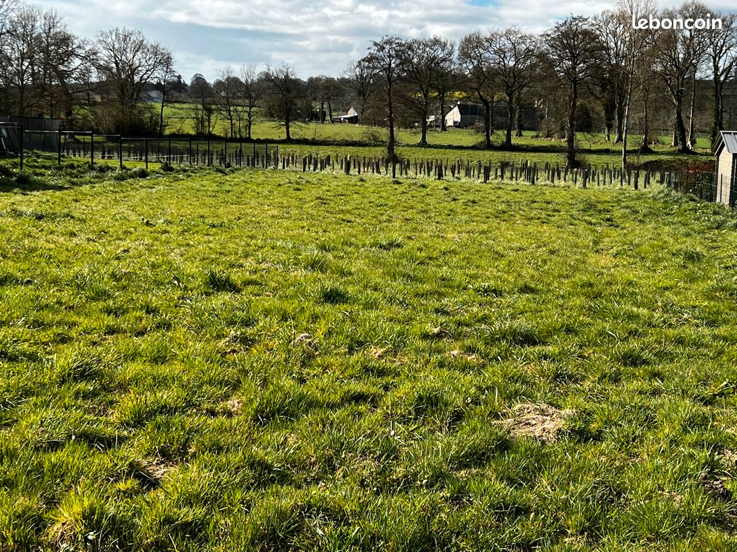 Terrain à bâtir Viabilisé et Fibré · à Vire Normandie · 26 500 €
