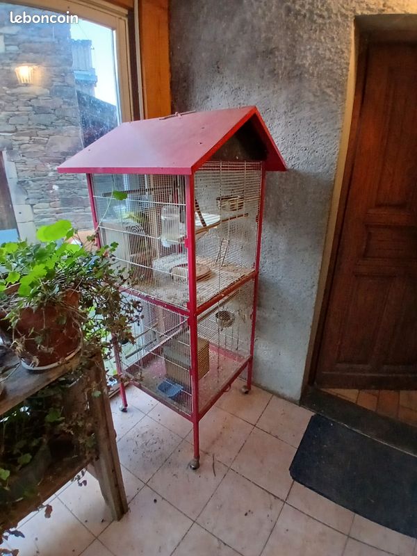 Cages oiseaux (image 3)