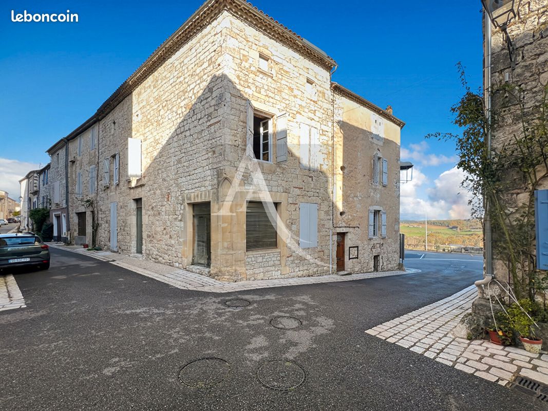 Maison 9 pièces 250 m² (image 1)