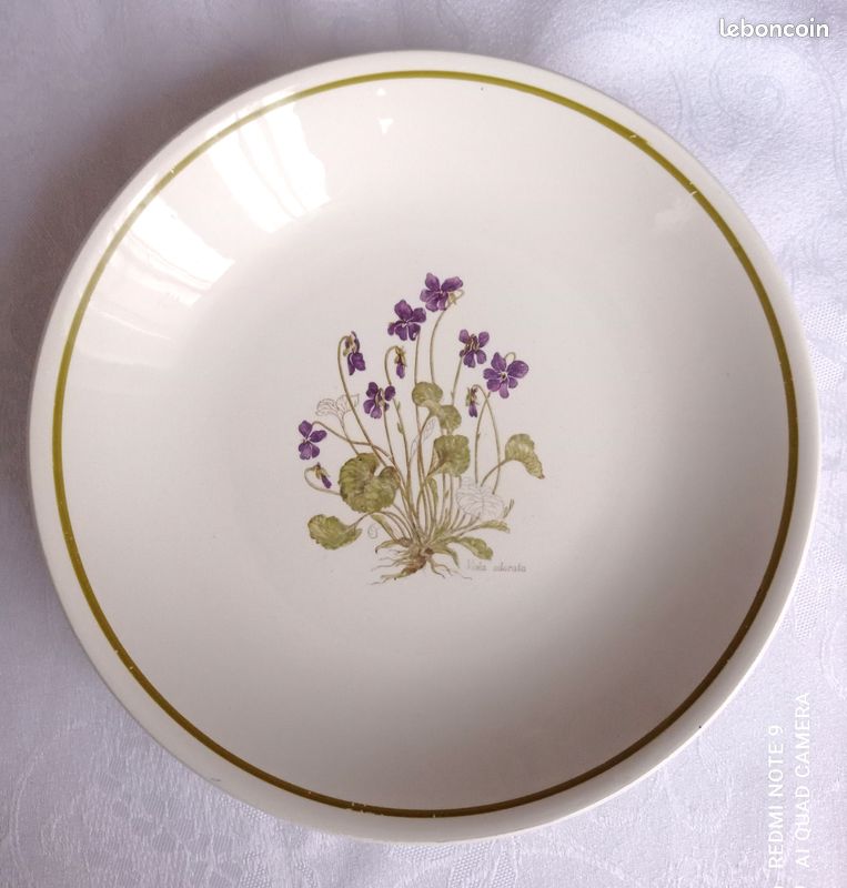Assiette Ancienne Barbotine Moulin des Loups ORCHIES fin XIXe Rare