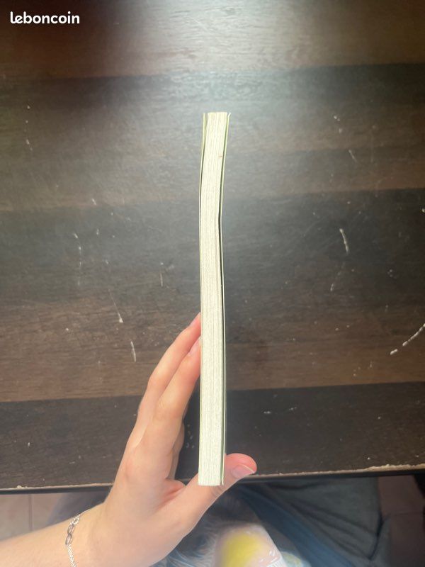 Mes amis de la forêt enchantée de Daisy Meadows Tome 6 (image 3)