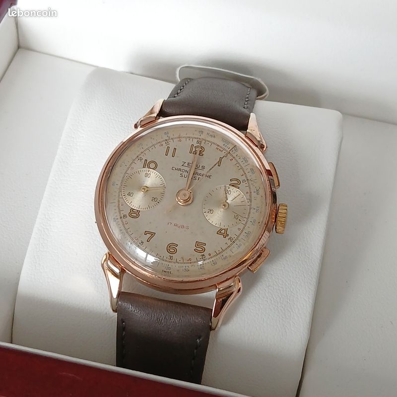 Montre zelus rubis suisse révision ok (image 7)