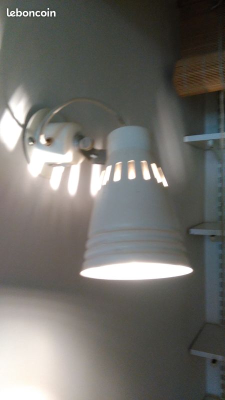 Spot (image 1)