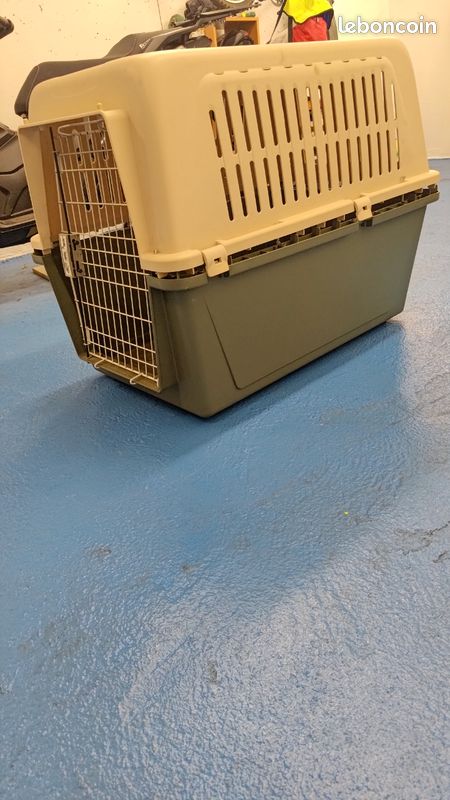 Kennel (image 3)