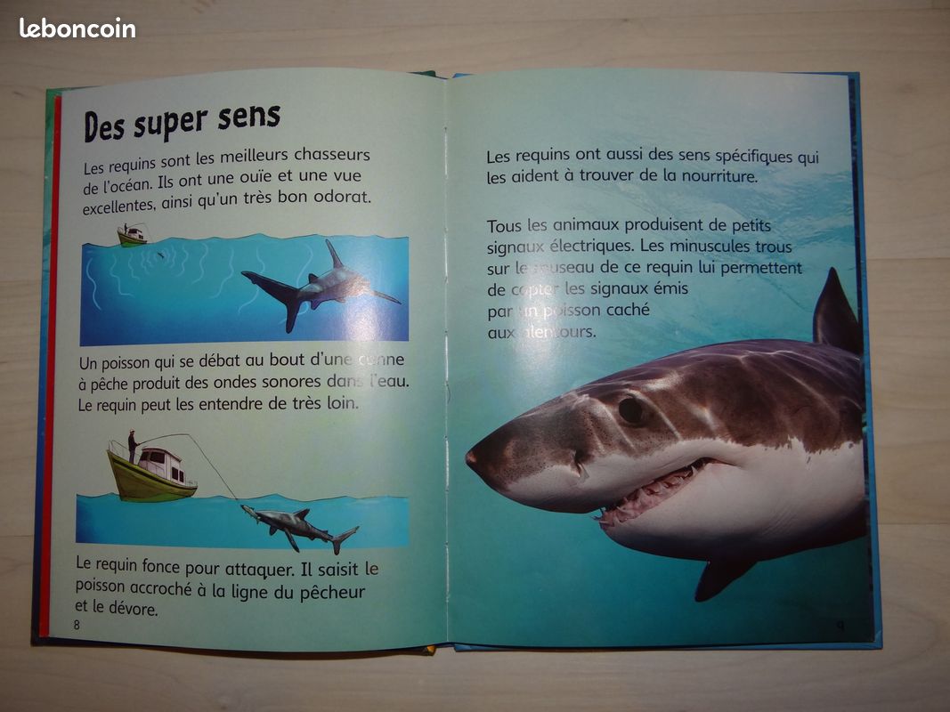 Les requins (image 2)