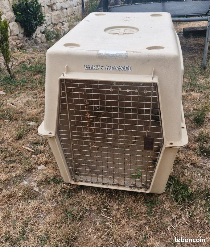 Caisse de transport chien (image 2)
