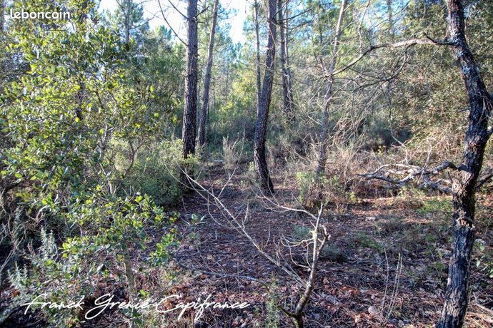 Terrain 55 050 m² Tourves