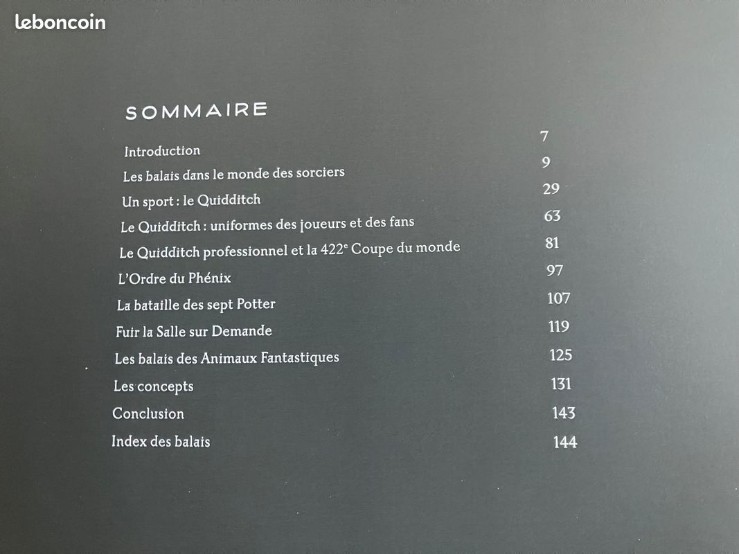 Livre le traité des balais Harry Potter (image 3)